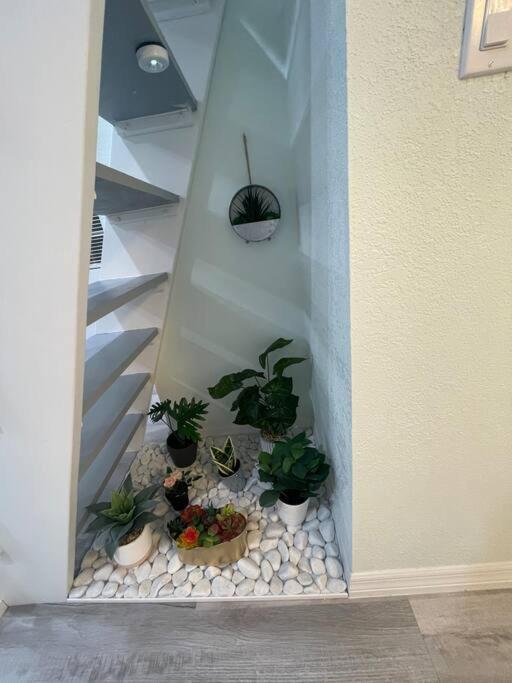 The Tiny Cottage In The Springs/ Central Fl Алтамонте Спрингс Екстериор снимка
